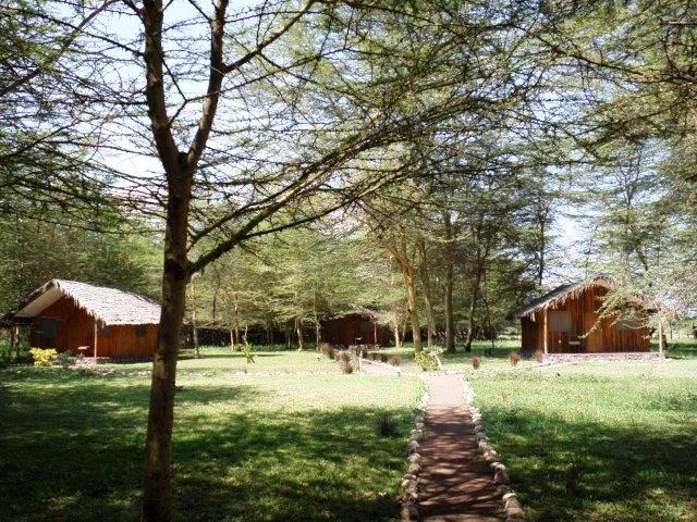 Lilac Camp Site & Tented Camp